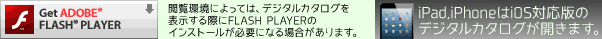 FLASH PLAYERダウンロードボタン