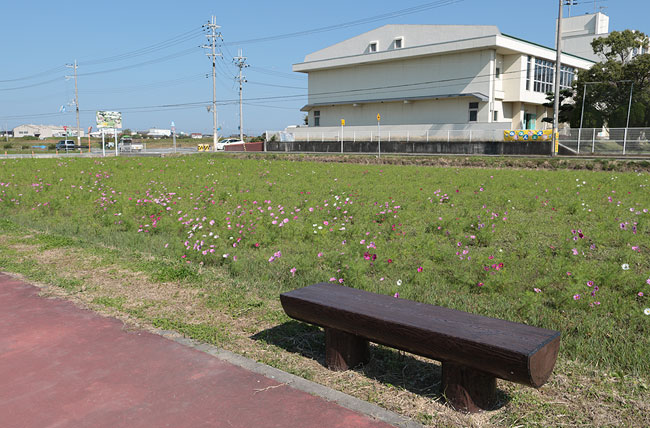 丸太ベンチ1号