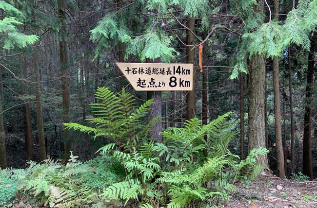 標識板5号[板A]