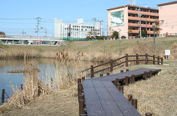 八ッ橋・D-1外柵