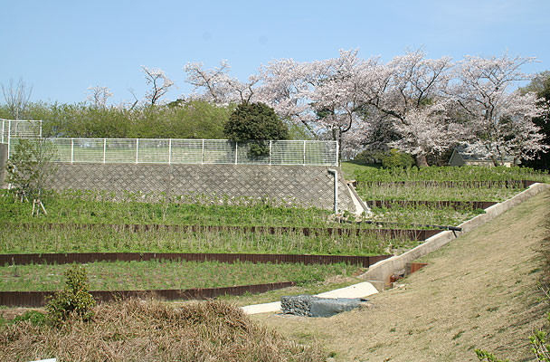 両面5連縁石