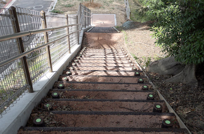 避難路ステップ階段（蓄光付ステップ階段）