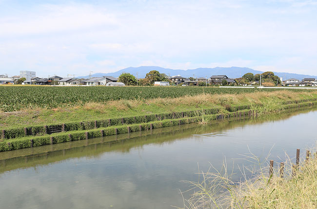 丸太・集魚桝