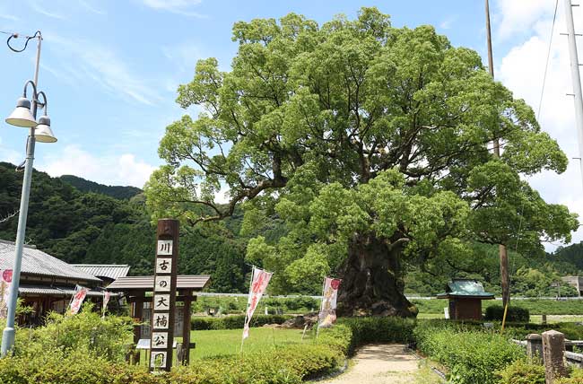 (特)標識柱