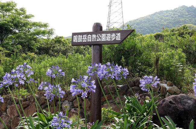 標識板5号