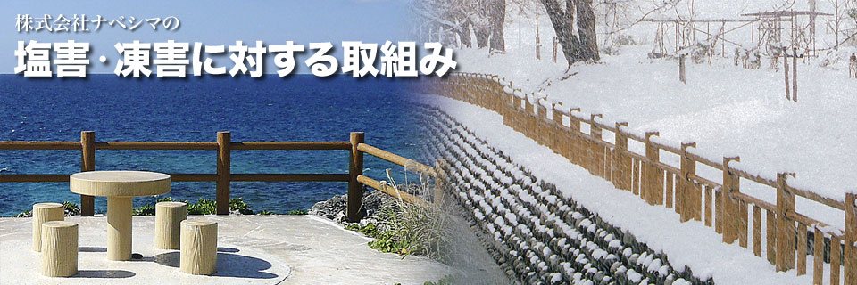 塩害・凍害に対する取組み